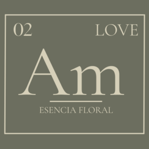 amor